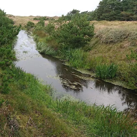 Cozy House In - By Traum Tatil Evi *